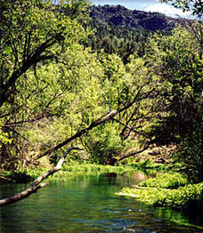 Fossil Creek, tributary of Arizona’s Verde River


